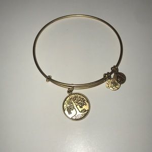 Alex and Ani Tree of Life